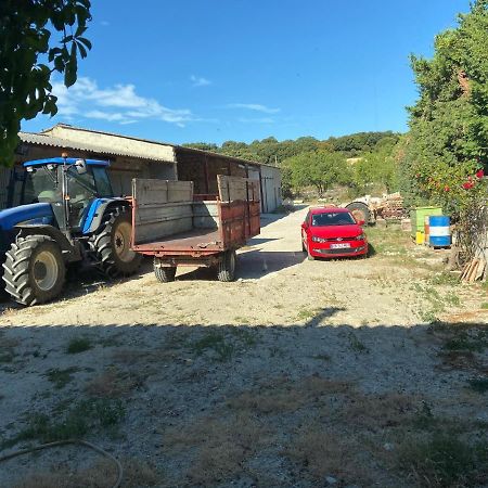 Gite A La Ferme Clansayes Exteriör bild