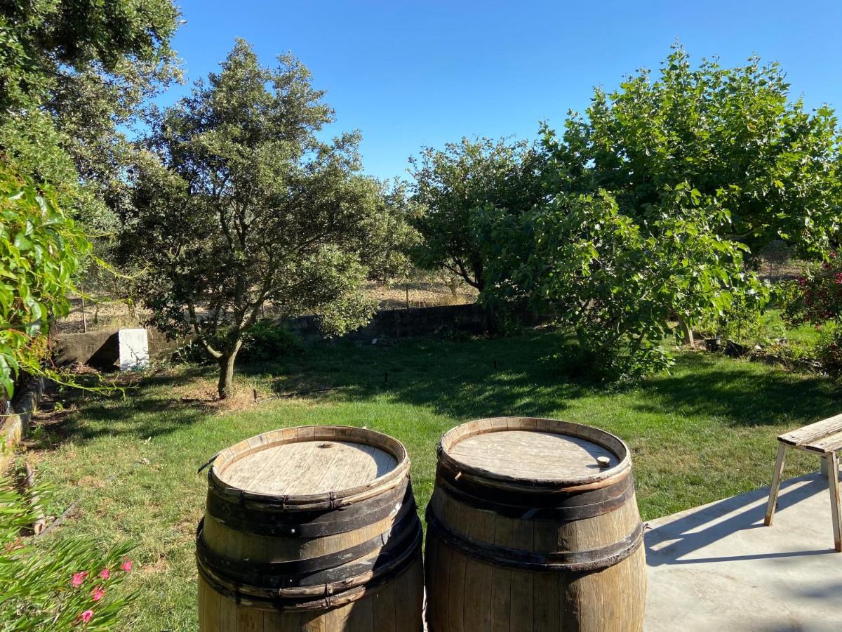 Gite A La Ferme Clansayes Exteriör bild